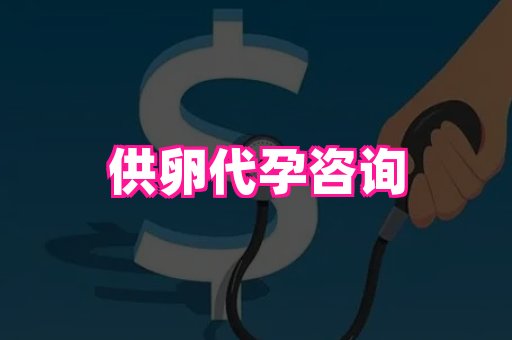 国际助孕网 1