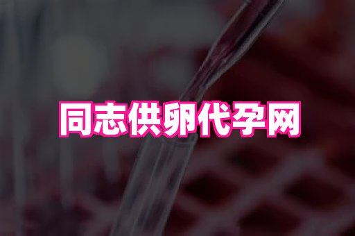 国际助孕网 3