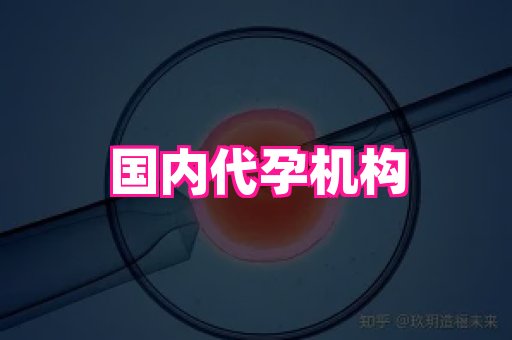 国际助孕网 4